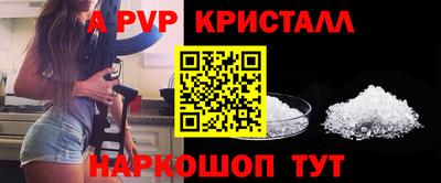 СК Ставрополь